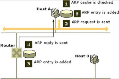 ARP protocol diagram